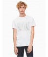 Calvin Klein pánské tričko ILLUSION LOGO bílé