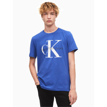 Calvin Klein pánské tričko 41QK961