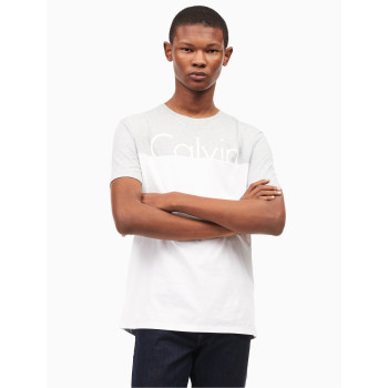 Calvin Klein pánské tričko 41E5452