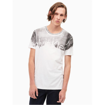 Calvin Klein pánské tričko 2189010