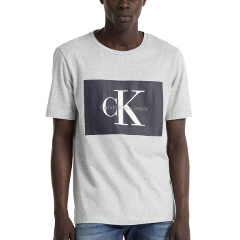 Calvin Klein pánské tričko 2177038 šedé