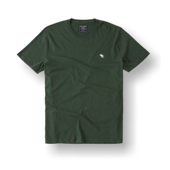 Abercrombie & Fitch pánské tričko zelené 0108030