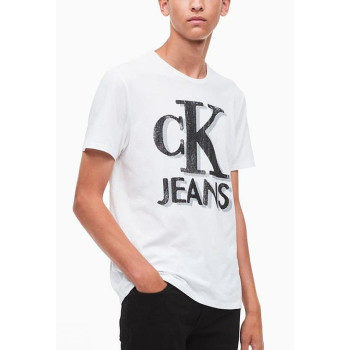 Calvin Klein pánské tričko E5445