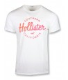 Hollister pánské tričko 2259320