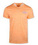 Hollister pánské tričko circle logo oranžové 0983099