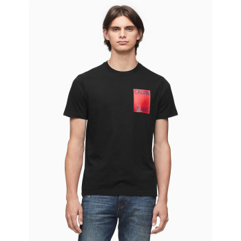 Calvin Klein pánské tričko 5010 černé