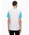 Calvin Klein pánské tričko 41H5887