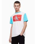 Calvin Klein pánské tričko 4407
