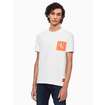 Calvin Klein pánské tričko 6978