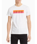 Calvin Klein pánské tričko iconic 100 bílé