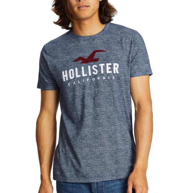 Hollister pánské tričko iconic bílé 0984099