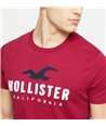 Hollister pánské tričko iconic stripe 0242202