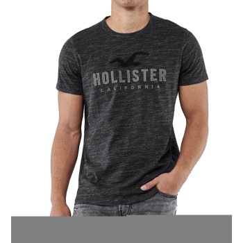 Hollister pánské tričko iconic logo dark 122