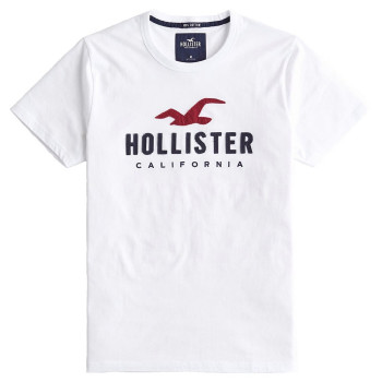 Hollister pánské tričko iconic bílé 0242100