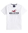 Hollister pánské tričko iconic bílé 0242100