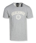 Abercrombie & Fitch pánské tričko Logo Print šedé 2395-120