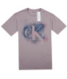 Calvin Klein Pánské Tričko Graphics Logo Iconic Splash